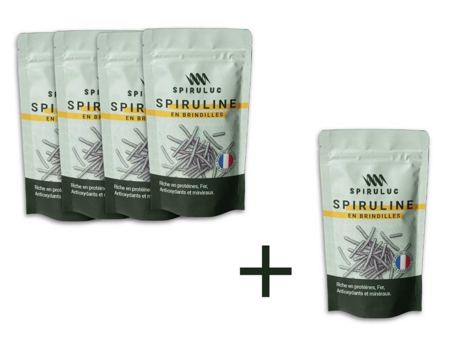 4+1-gratuit-brindilles